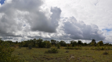 LASSALLE-tarn-et-garonne