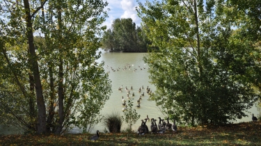 PLAN D EAU DU PARC DE DE LA LERE-tarn-et-garonne