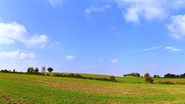 SAINT-CIRQ - PETITE BOUCLE-tarn-et-garonne