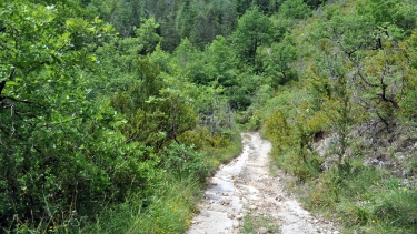 VAREN - VALLEE DE LA BLAYE-tarn-et-garonne