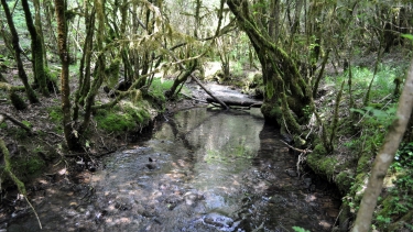 VAREN - VALLEE DE LA BLAYE-tarn-et-garonne