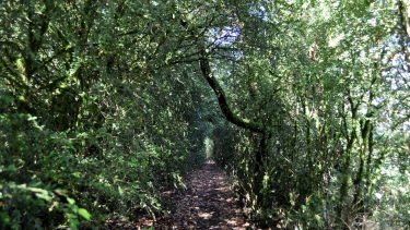 LA PORTE DES GORGES DE L AVEYRON-tarn-et-garonne