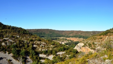 PAXOU-tarn-et-garonne
