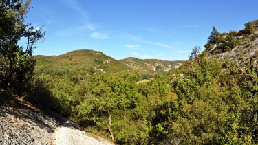 PAXOU-tarn-et-garonne