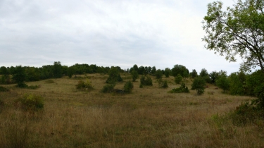 CAZALS-tarn-et-garonne