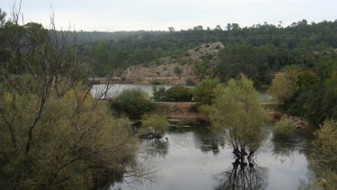 A L OUEST DE CABASSE-var