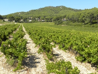 SAINT-CYR-SUR-MER - SENTIER LITTORAL-var