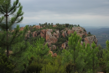 PIC REBEQUIER - ROCHES DE LA FILLE D ISNARD-var