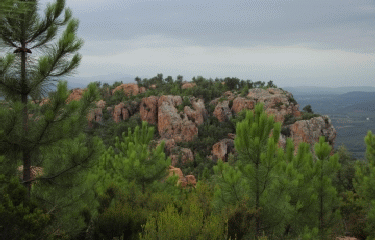 PIC REBEQUIER - ROCHES DE LA FILLE D ISNARD-var