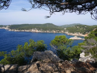 SANARY-SUR-MER - LA CIOTAT-var