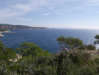 SANARY-SUR-MER - LA CIOTAT-var