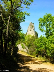 PORTES DE VALBELLE PAR MONTRIEUX LE JEUNE-var