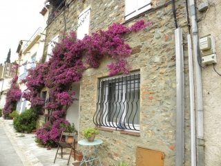 GRIMAUD - PONT DES FEES-var