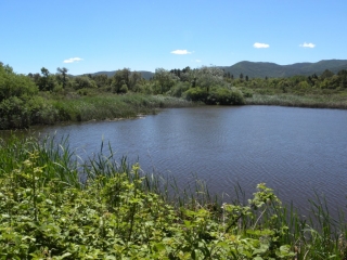 LA GARDE FREINET - TOUR DU LAC DES ESCARCETS-var