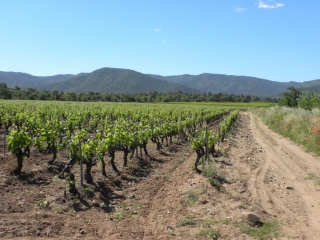 LA GARDE FREINET - TOUR DU LAC DES ESCARCETS-var