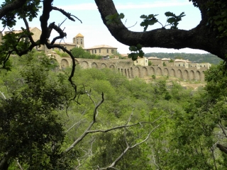 LA MOLE - BARRAGE ET CHARTREUSE DE LA VERNE-var