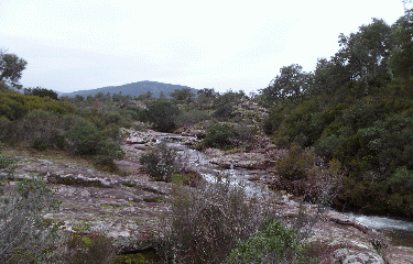 LAC DES ESCARCETS-var