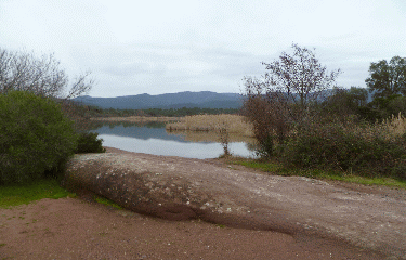 LAC DES ESCARCETS-var