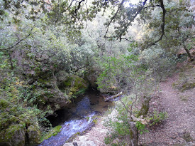 SAINTE-BAUME - PONT DU DIABLE-var