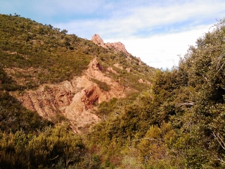 LES MALAVETTES (ESTEREL)-var