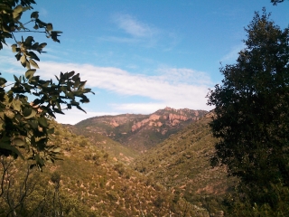 LES MALAVETTES (ESTEREL)-var