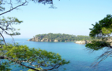 FORT DE BREGANCON-var