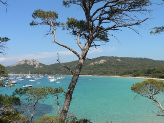 PORQUEROLLES-var