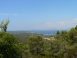 PORQUEROLLES-var