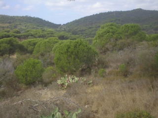 CAP LARDIER - CAP TAILLAT-var