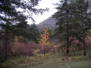 GORGES DE L ARTUBY-var