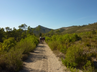 PARACOL - MONT CUIT-var