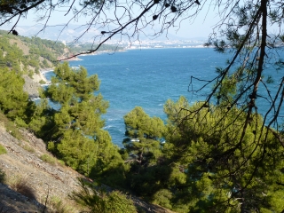 LA SEYNE SU MER - FABREGAS-var