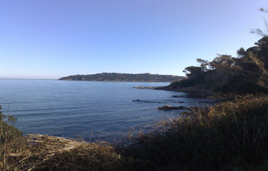 ST TROPEZ - SENTIER DES DOUANIERS-var