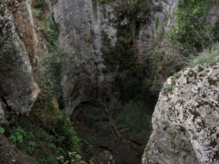 PLATEAU DE SIOU BLANC-var