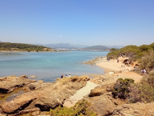 SIX-FOURS-LES-PLAGES - (LE BRUSC) ILE DU GRAND ET PETIT GAOU-var