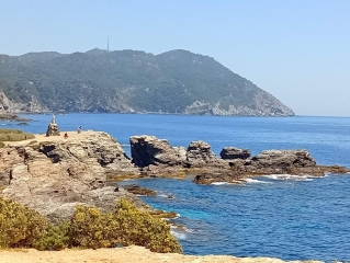 SIX-FOURS-LES-PLAGES - (LE BRUSC) ILE DU GRAND ET PETIT GAOU-var