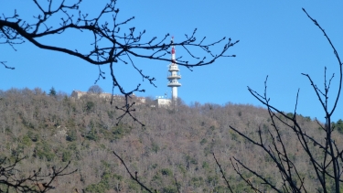 NOTRE DAME DES ANGES-var
