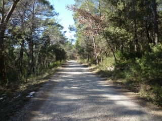 SAINT-ANTONIN-DU-VAR-var