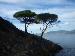 CAP LARDIER-var