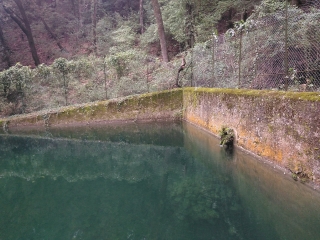 MONTRIEUX - GRAND PUY-var