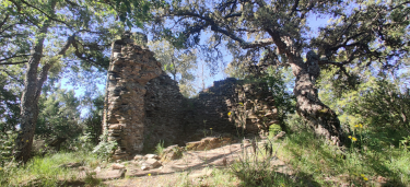 DECOUVRIR COLLOBRIERES-var