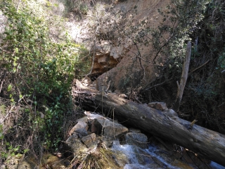 ROCBARON / LA FOUX / OPPIDUM