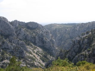 MASSIF DU GROS CERVEAU-var