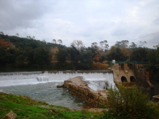 LE VIEUX CANNET - GROTTE ST MICHEL-var