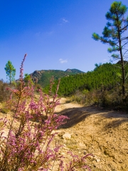 LAC DE L ECUREUIL-var