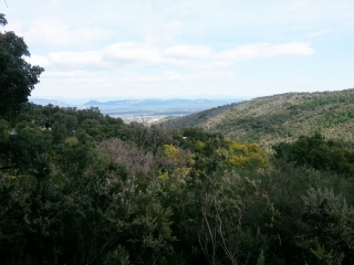 ROQUEBRUNE-SUR-ARGENS (2)-var