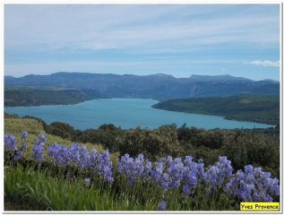 BAUDINARD-SUR-VERDON-var