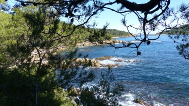 GIGARO - CAP LARDIER-var