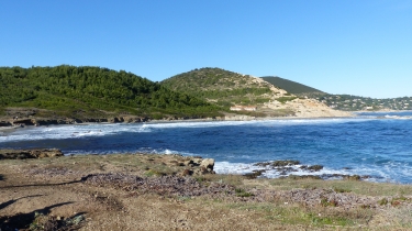 GIGARO - CAP LARDIER-var