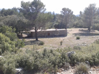 RIBOUX - JAS DE SYLVAIN-var